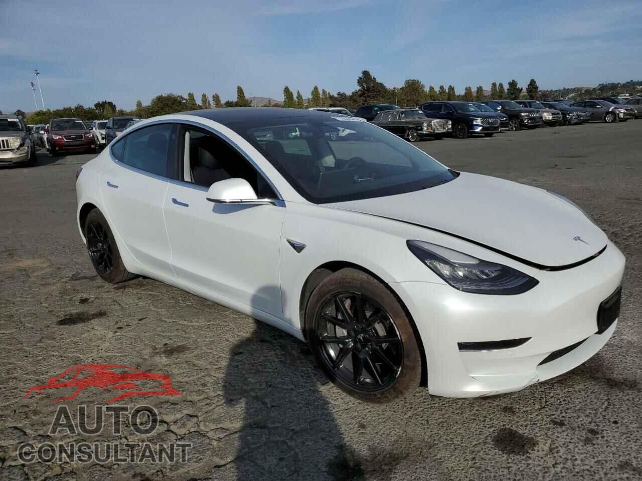 TESLA MODEL 3 2020 - 5YJ3E1EA1LF739969