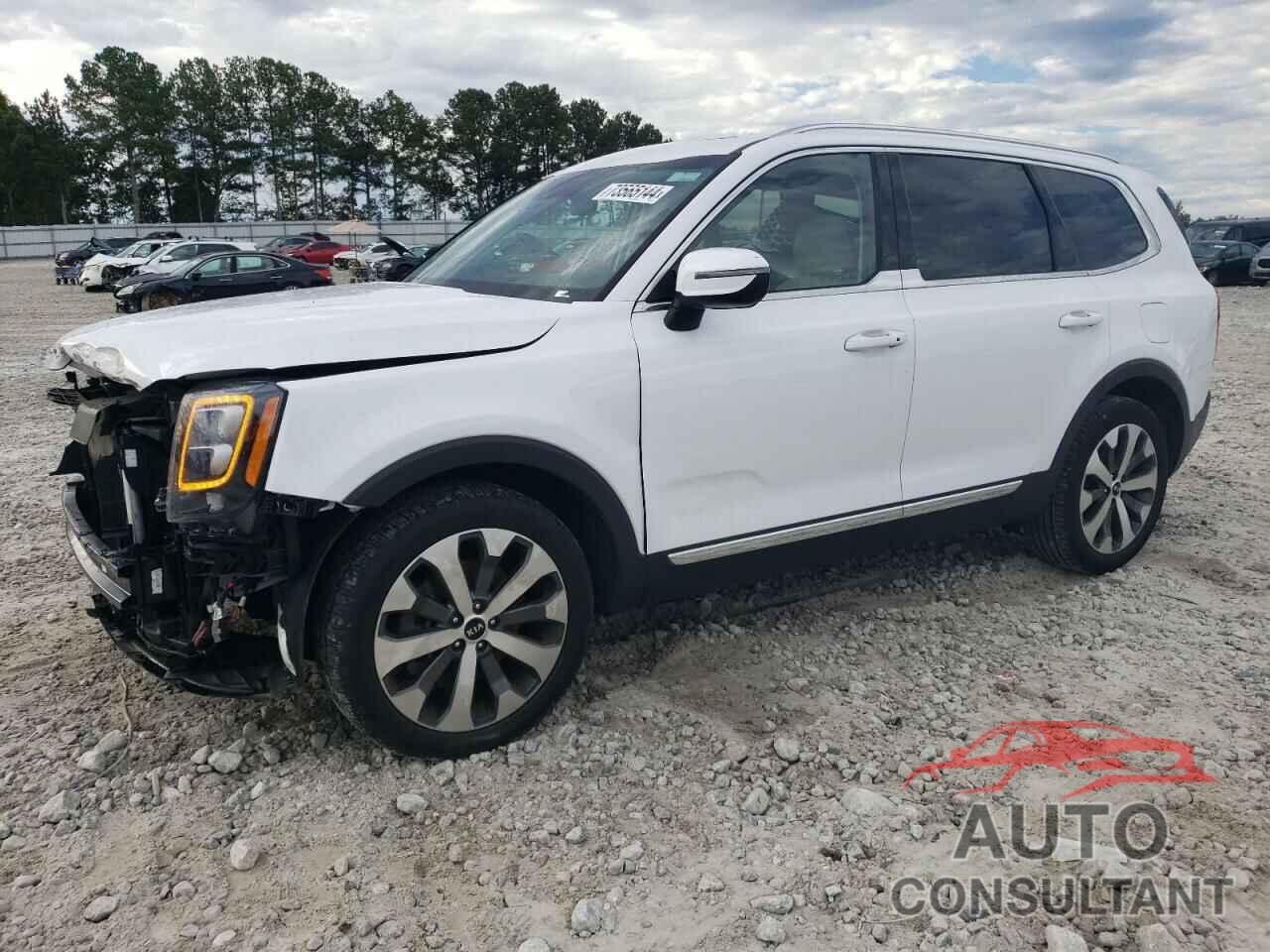 KIA TELLURIDE 2021 - 5XYP34HC7MG165989