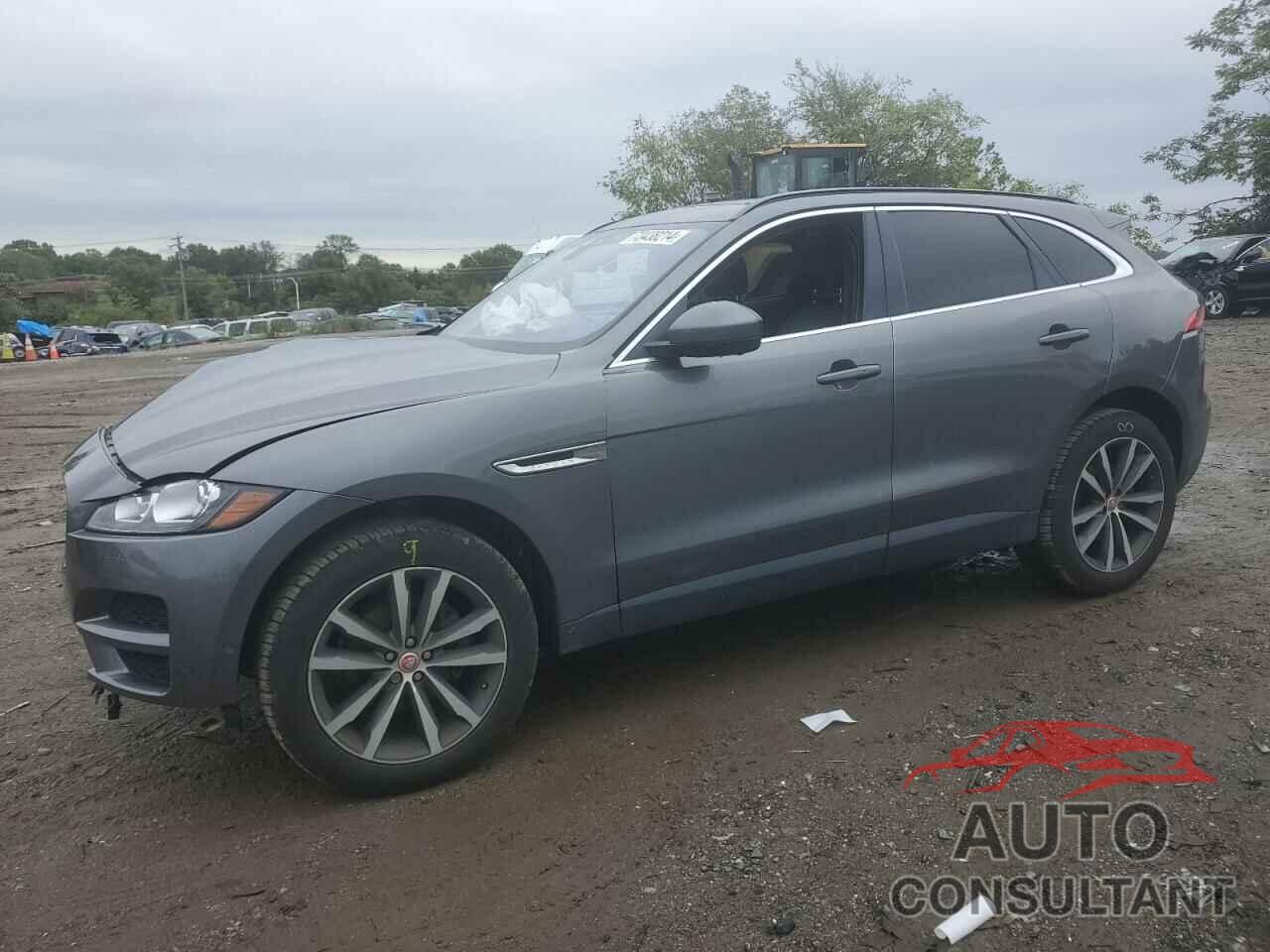 JAGUAR F-PACE 2019 - SADCK2FX7KA612110