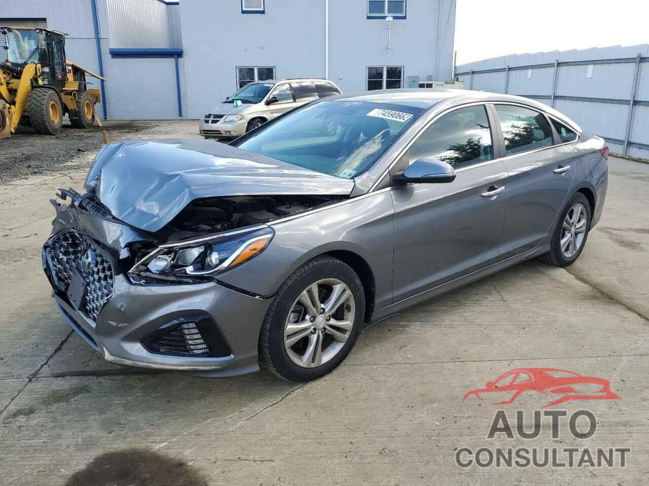HYUNDAI SONATA 2019 - 5NPE34AF9KH781436