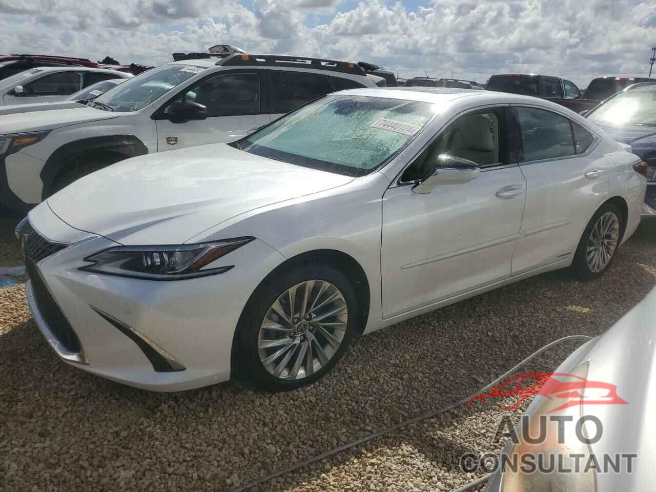 LEXUS ES300 2022 - 58AEA1C14NU013142