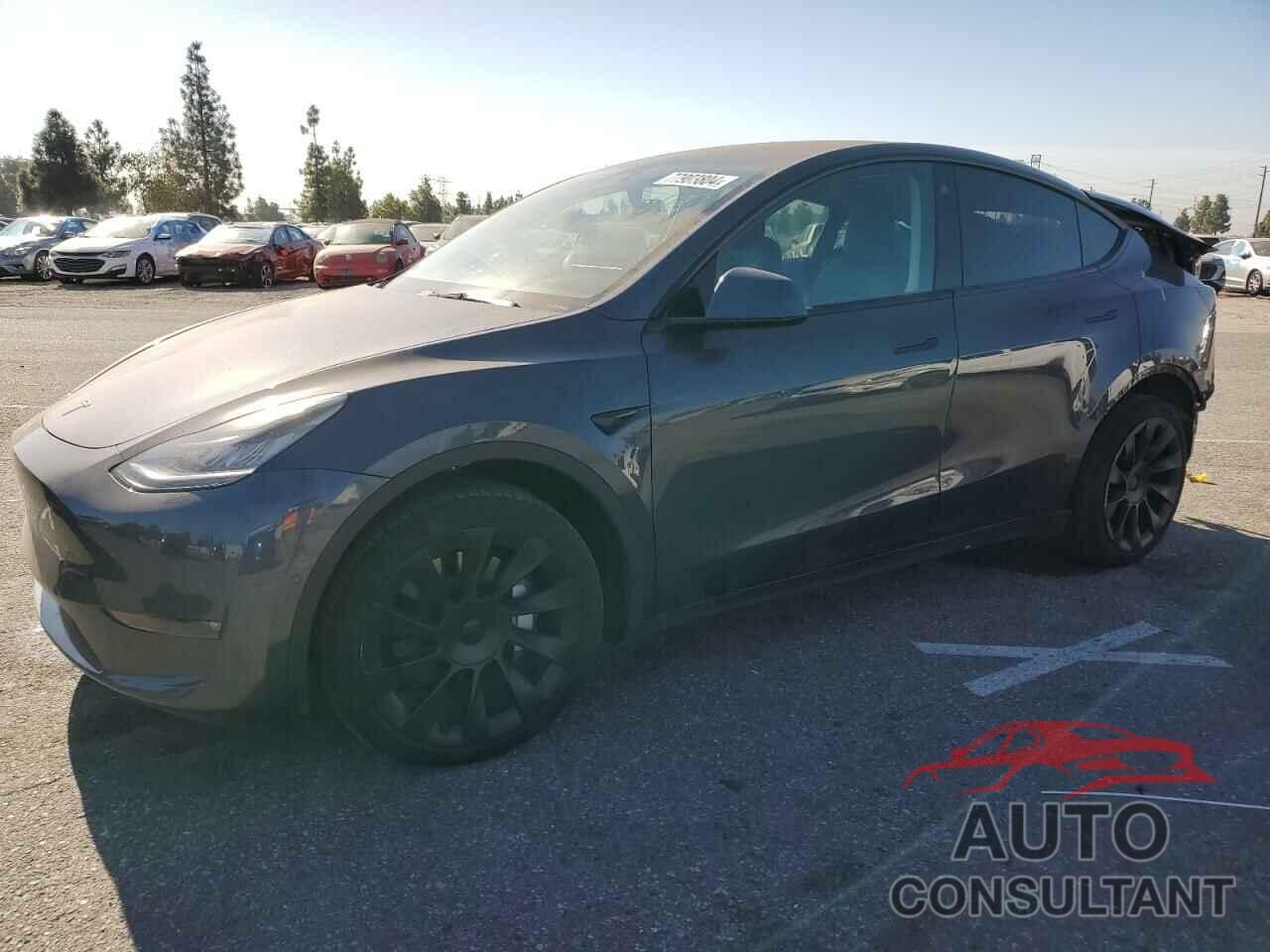 TESLA MODEL Y 2022 - 7SAYGDEE0NF423232