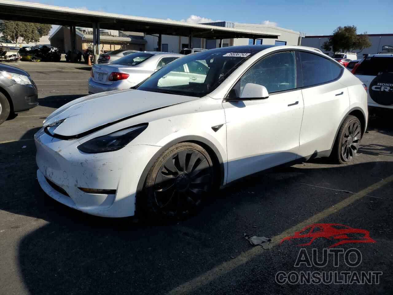 TESLA MODEL Y 2022 - 7SAYGDEF0NF534873