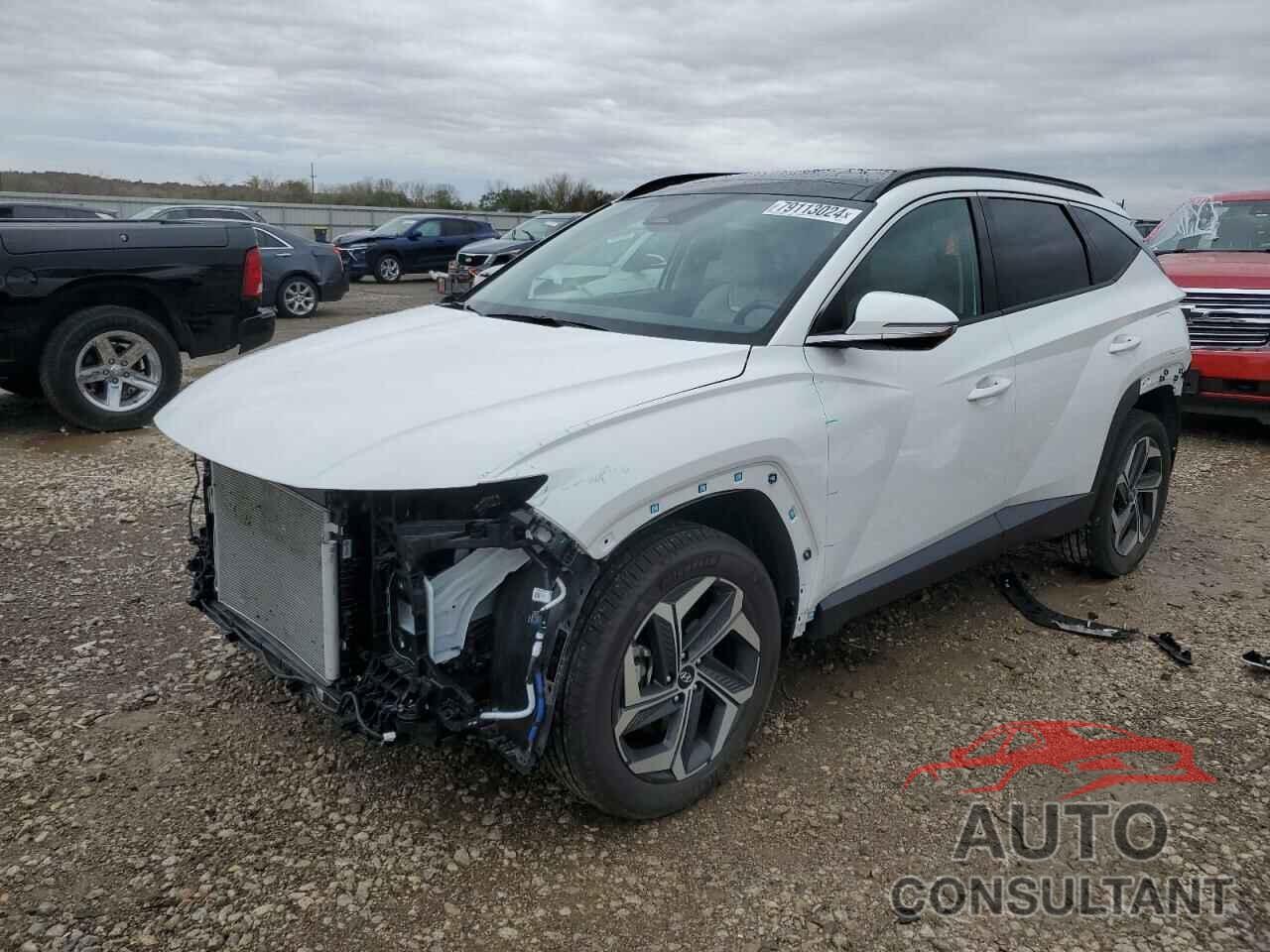 HYUNDAI TUCSON 2024 - 5NMJECDE0RH385506