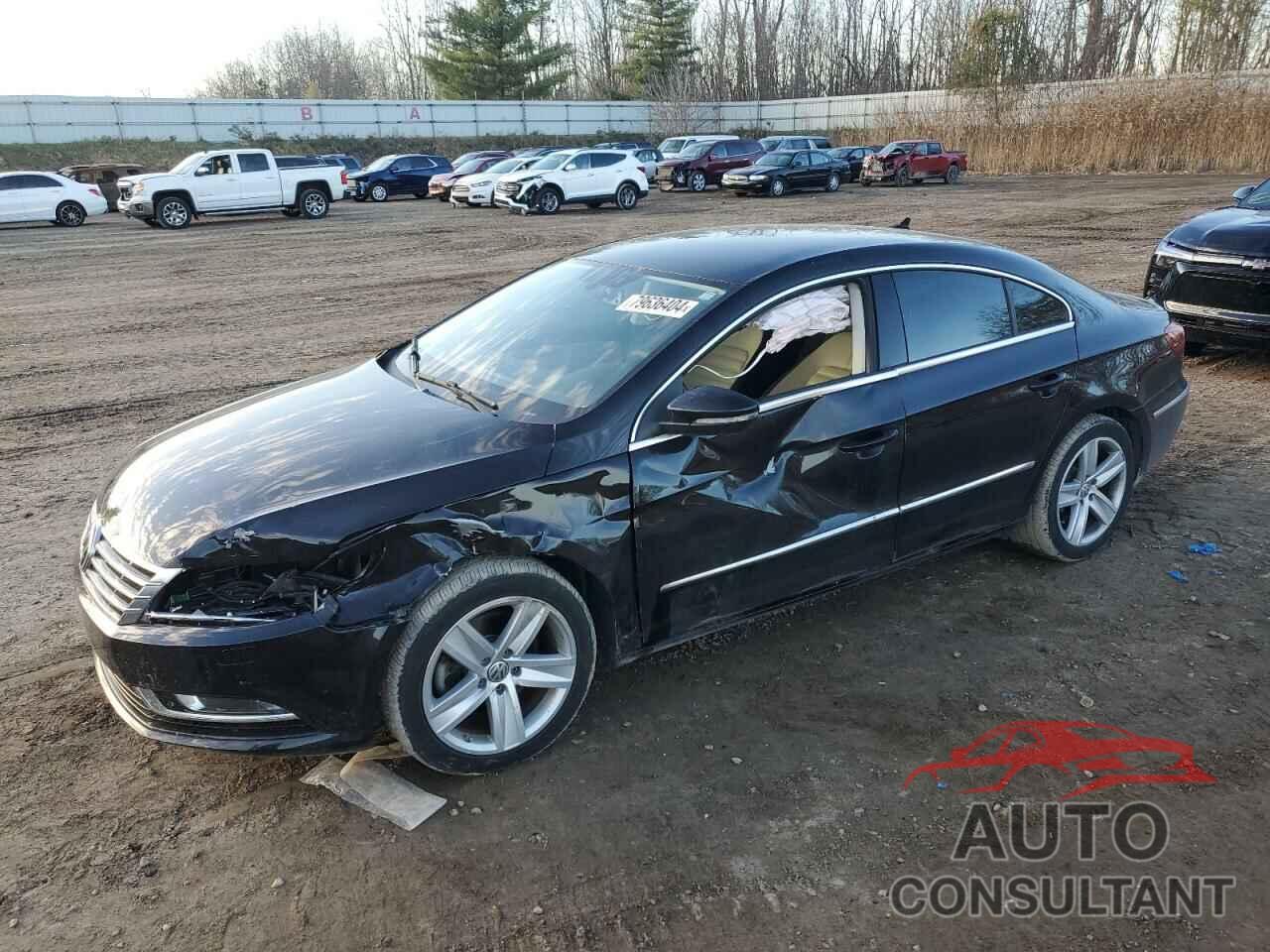 VOLKSWAGEN CC 2016 - WVWBP7AN9GE501117