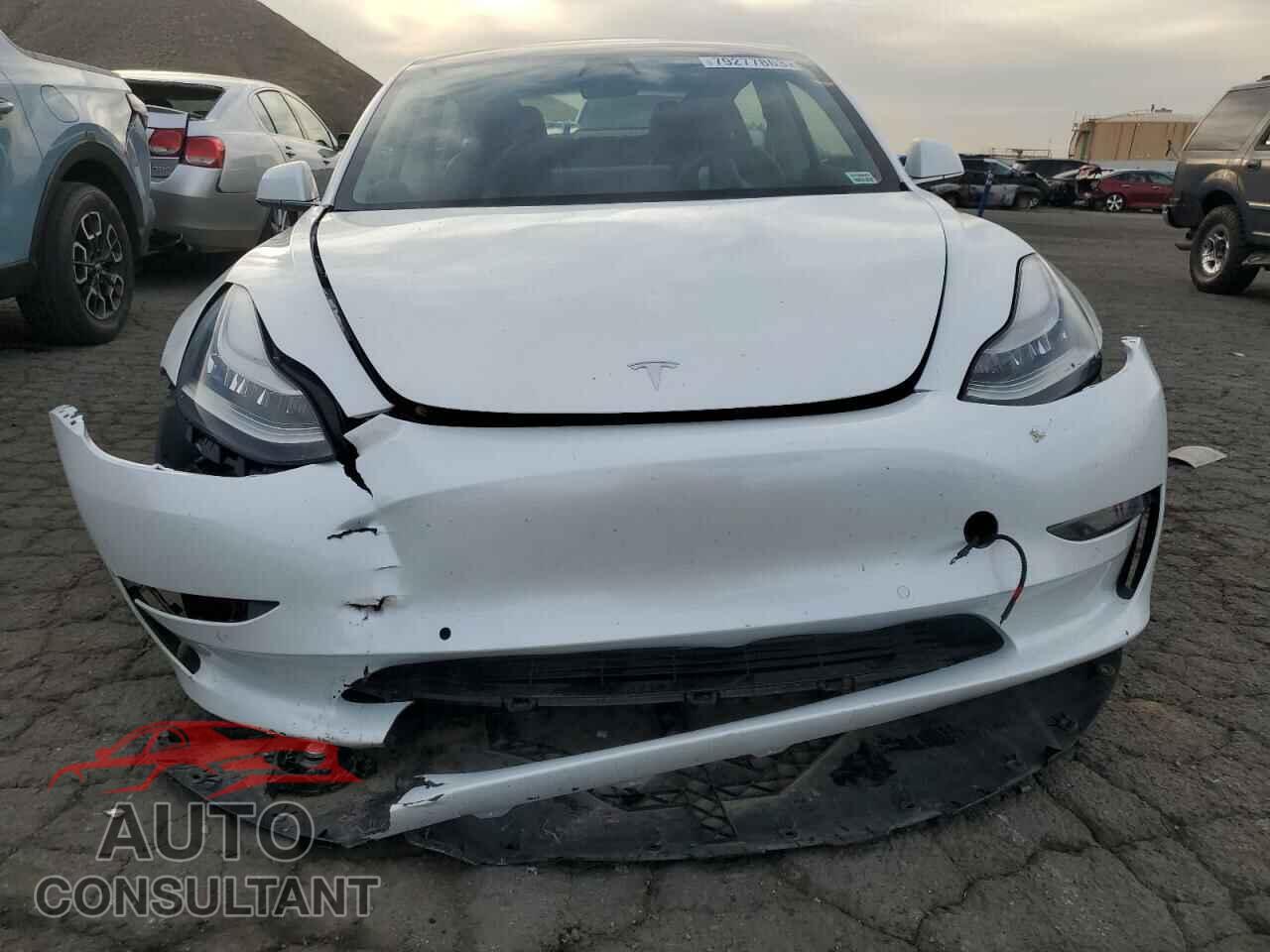 TESLA MODEL 3 2019 - 5YJ3E1EA1KF484531