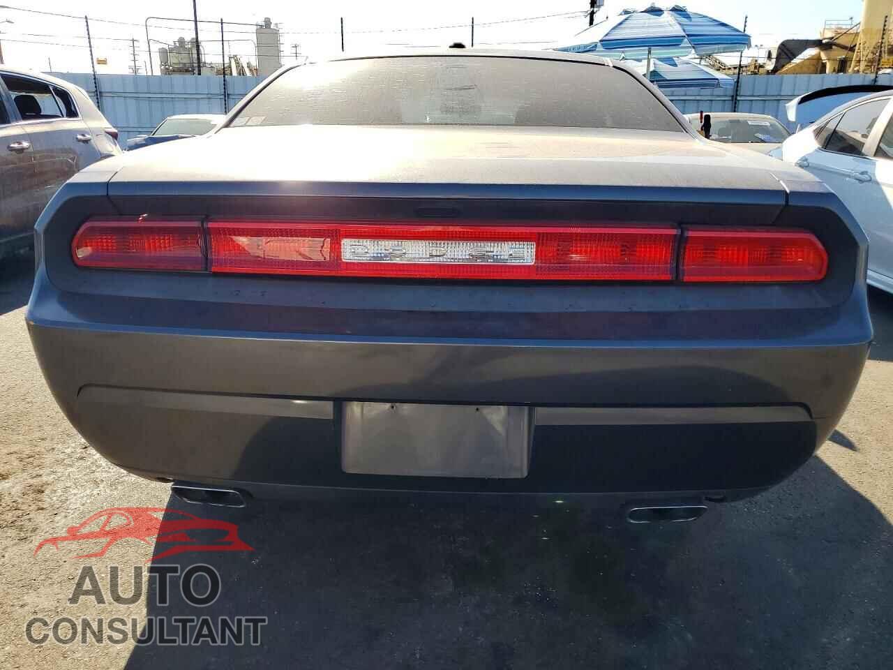 DODGE CHALLENGER 2013 - 2C3CDYAG4DH596571