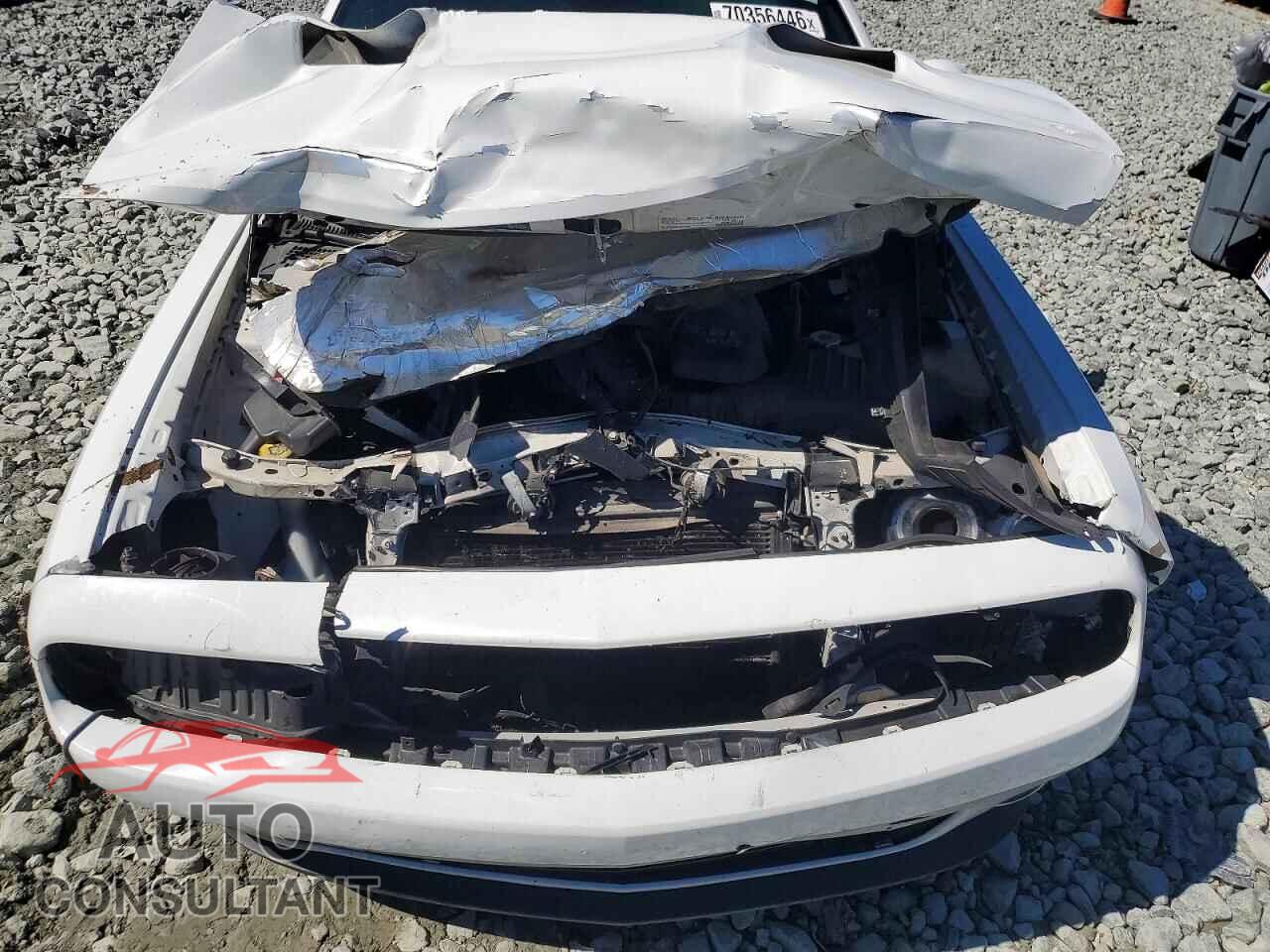 DODGE CHALLENGER 2018 - 2C3CDZAG5JH172012