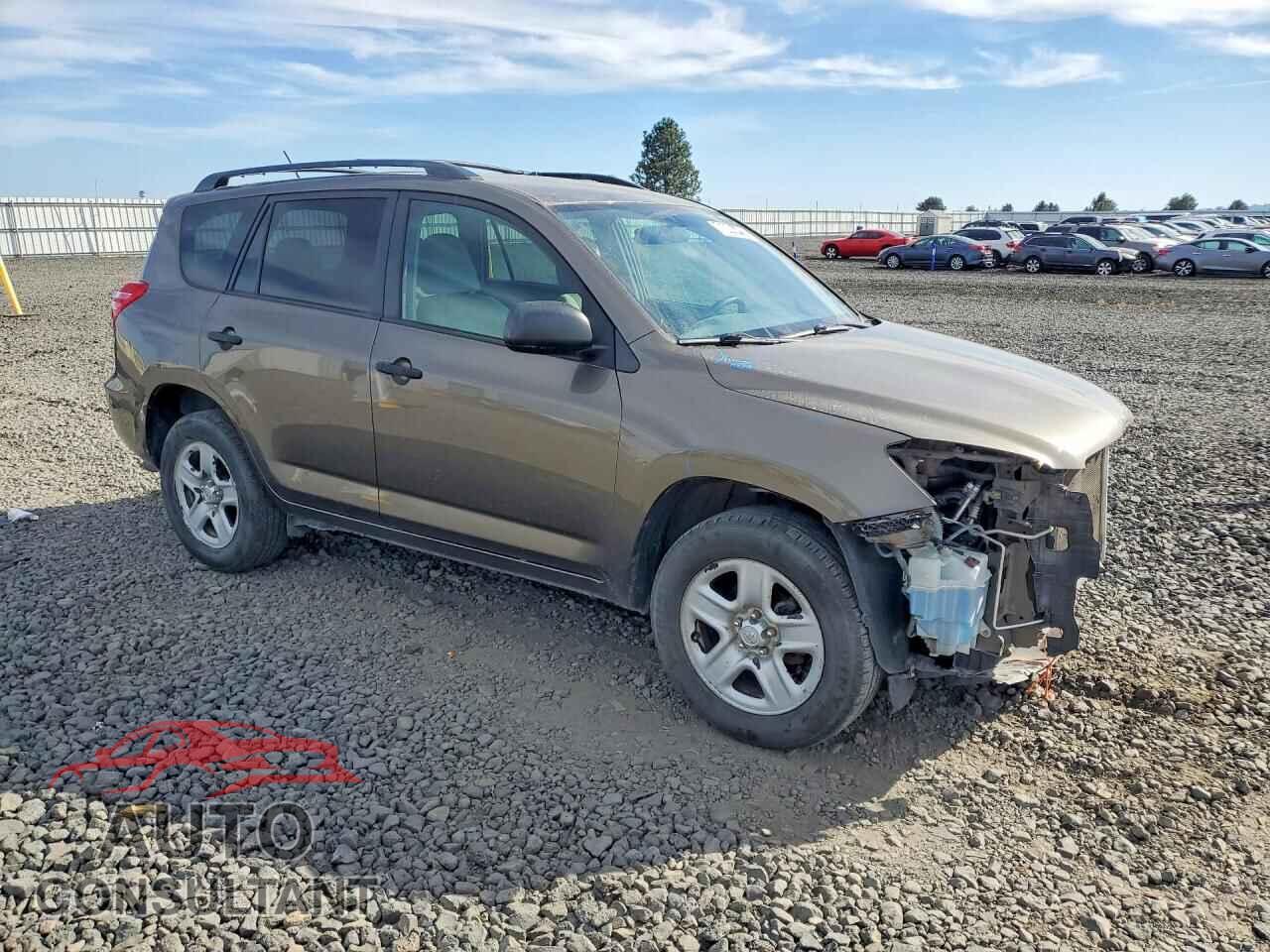 TOYOTA RAV4 2011 - 2T3BF4DV8BW157441