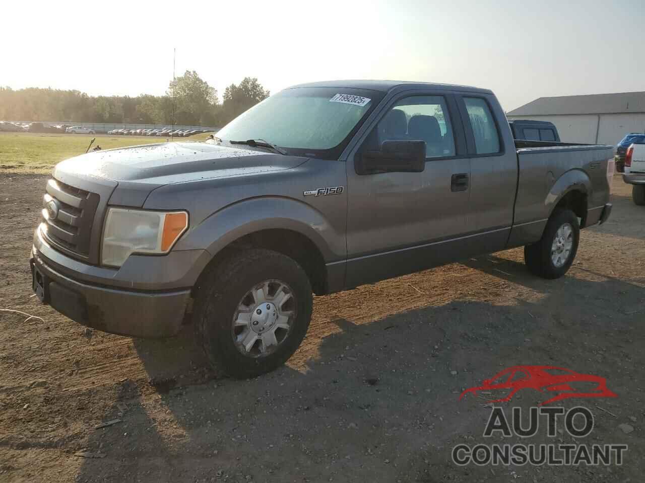 FORD F-150 2010 - 1FTEX1CW4AFA14229