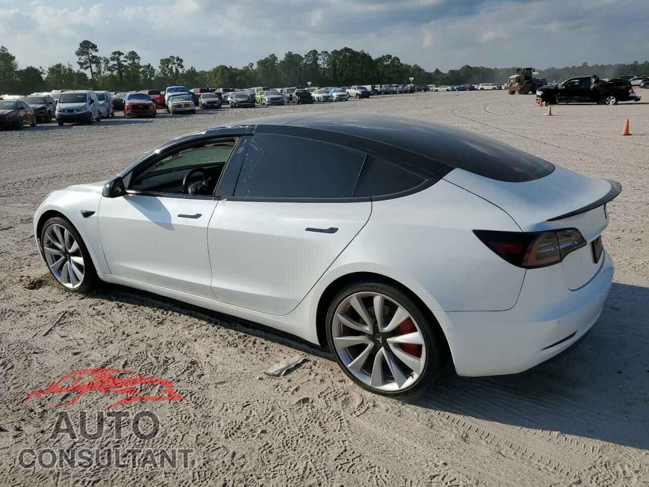 TESLA MODEL 3 2019 - 5YJ3E1EB3KF487228