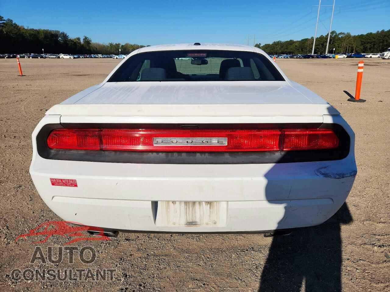 DODGE CHALLENGER 2014 - 2C3CDYBT0EH205316