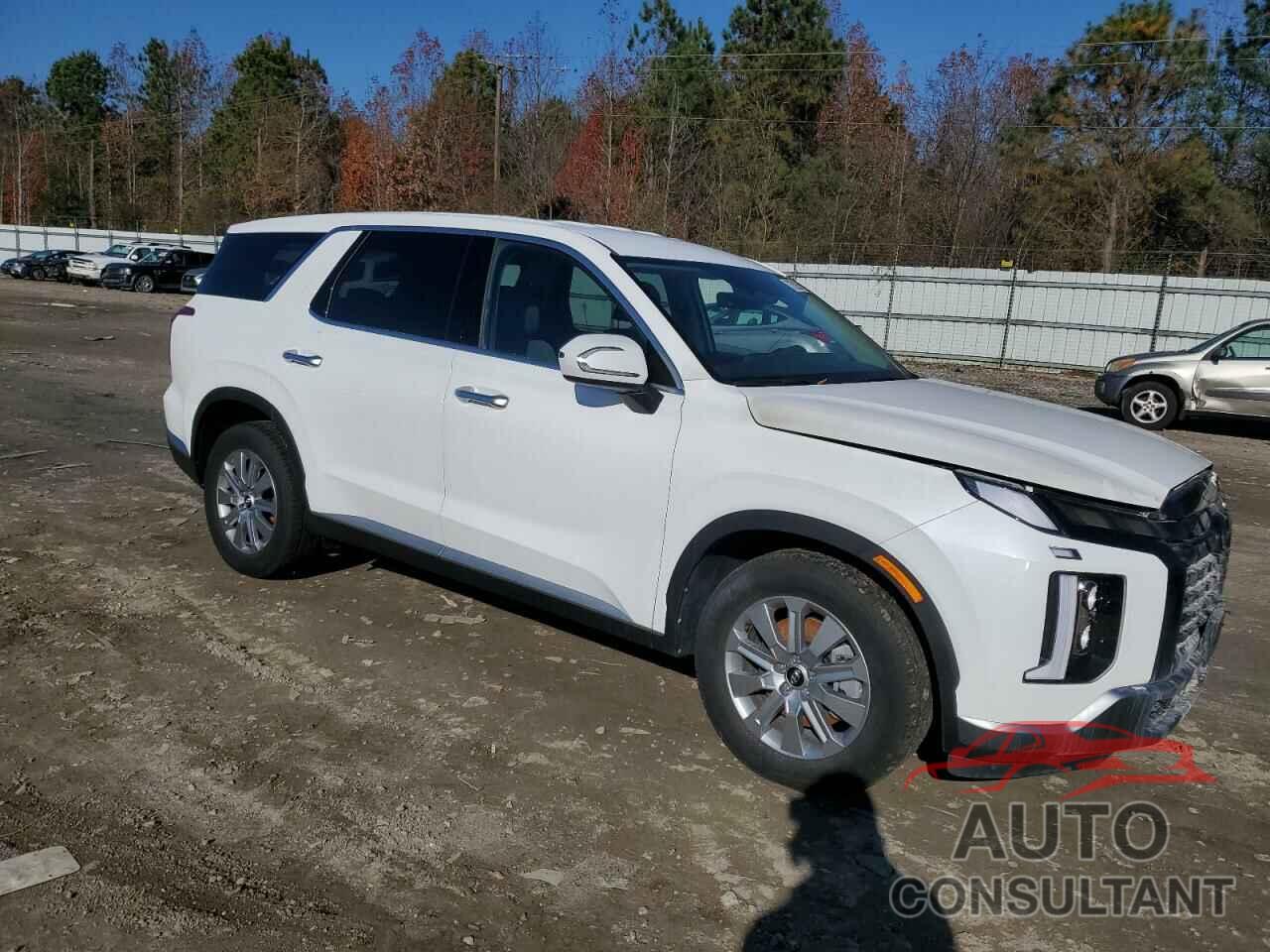 HYUNDAI PALISADE 2023 - KM8R1DGE3PU511729