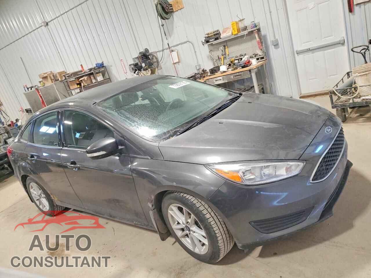 FORD FOCUS 2016 - 1FADP3F29GL220095