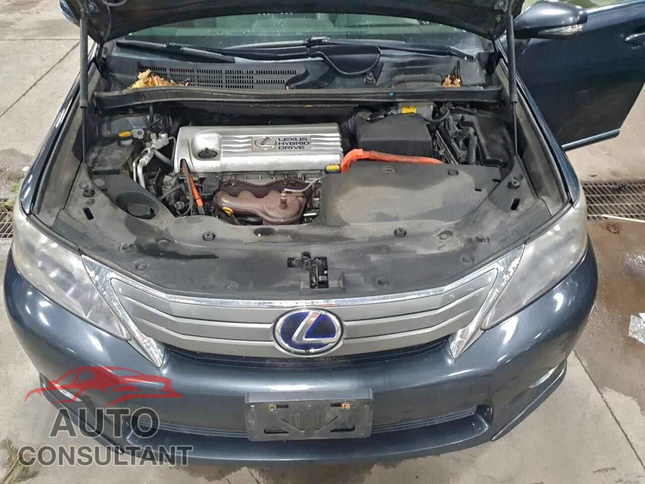 LEXUS HS 2010 - JTHBB1BA4A2017175