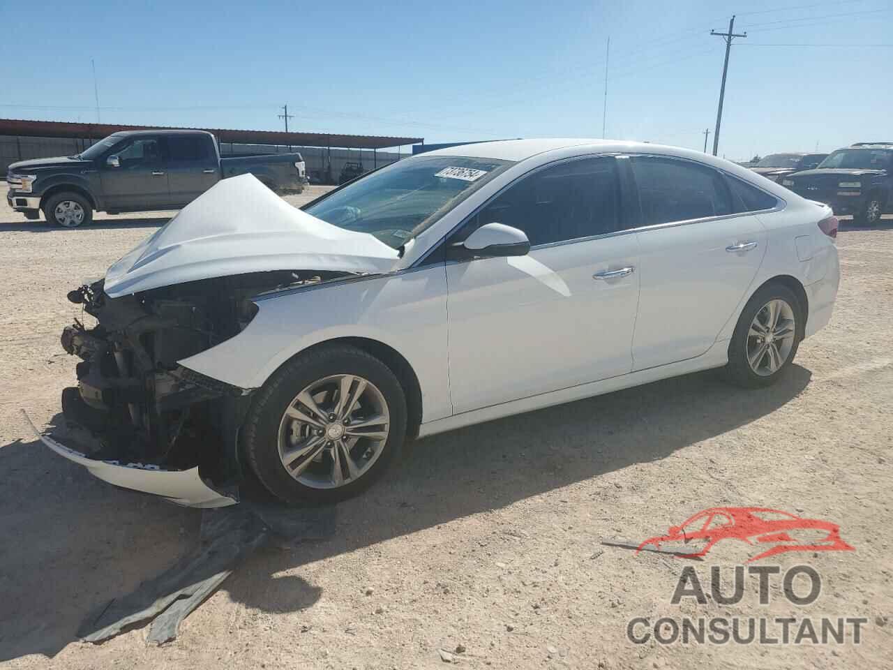 HYUNDAI SONATA 2019 - 5NPE34AF2KH764879