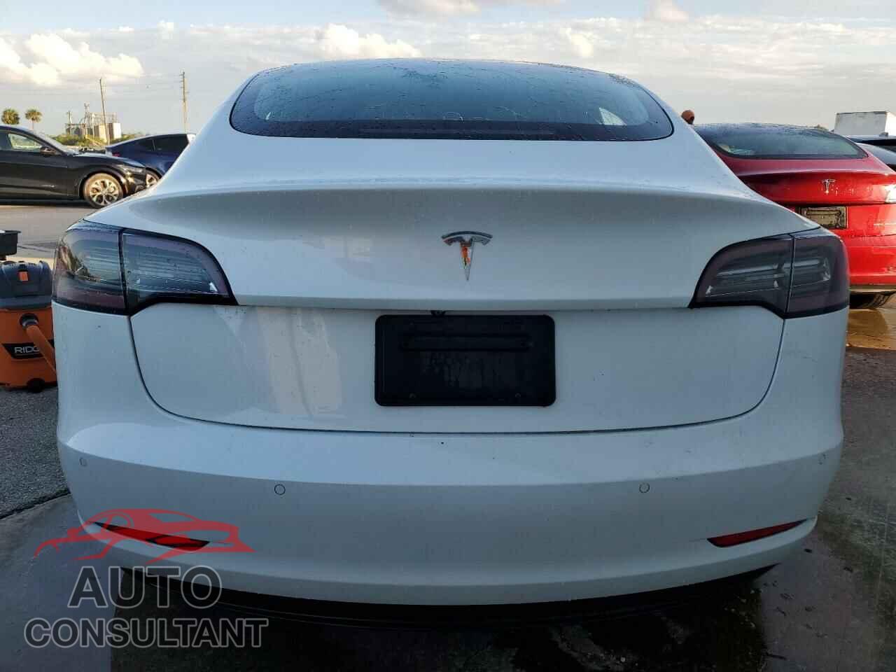 TESLA MODEL 3 2019 - 5YJ3E1EA3KF411998