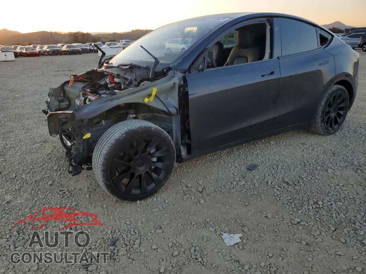 TESLA MODEL Y 2024 - 7SAYGDED7RF113298