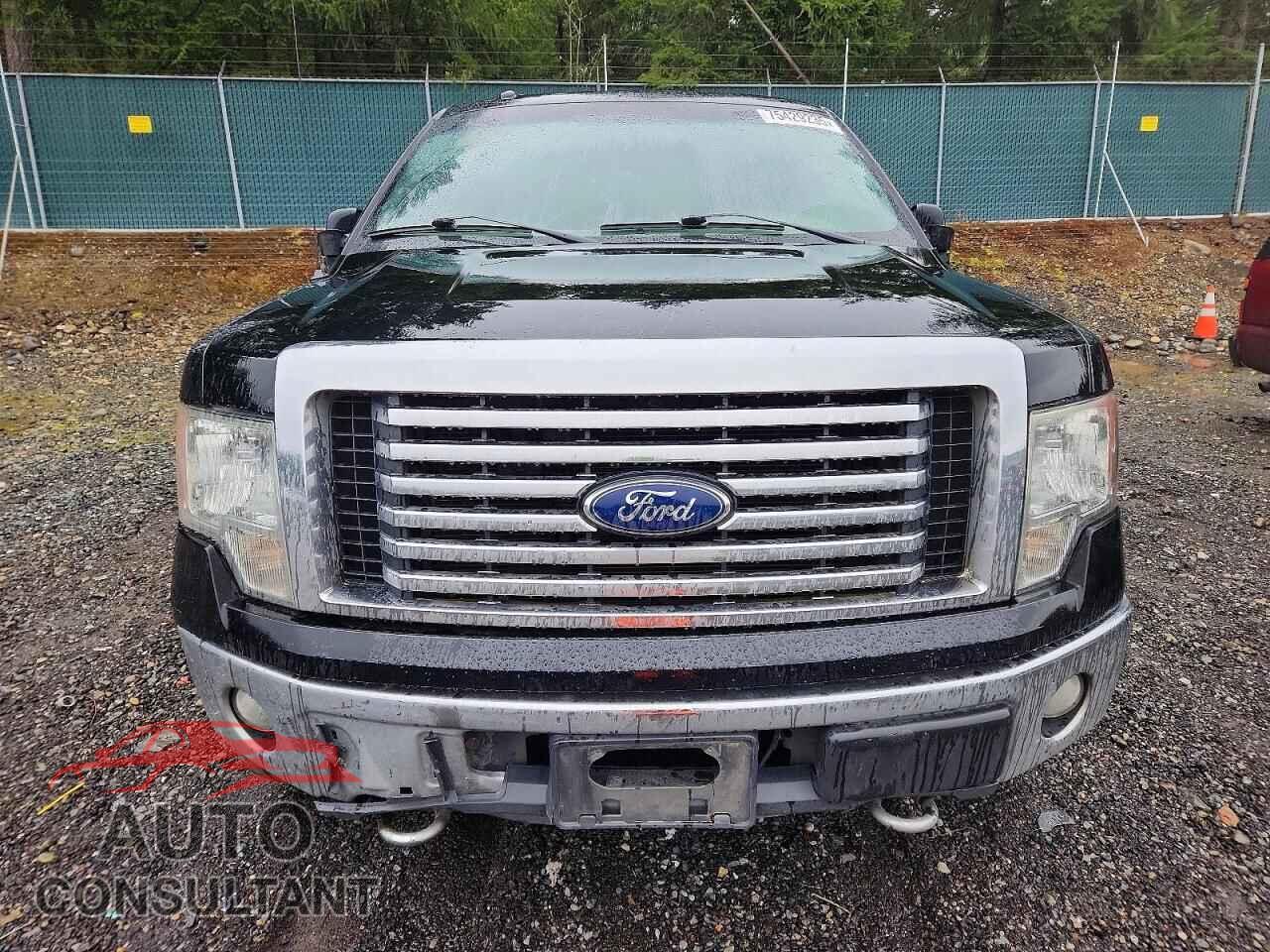 FORD F-150 2011 - 1FTFX1EF8BFC68075