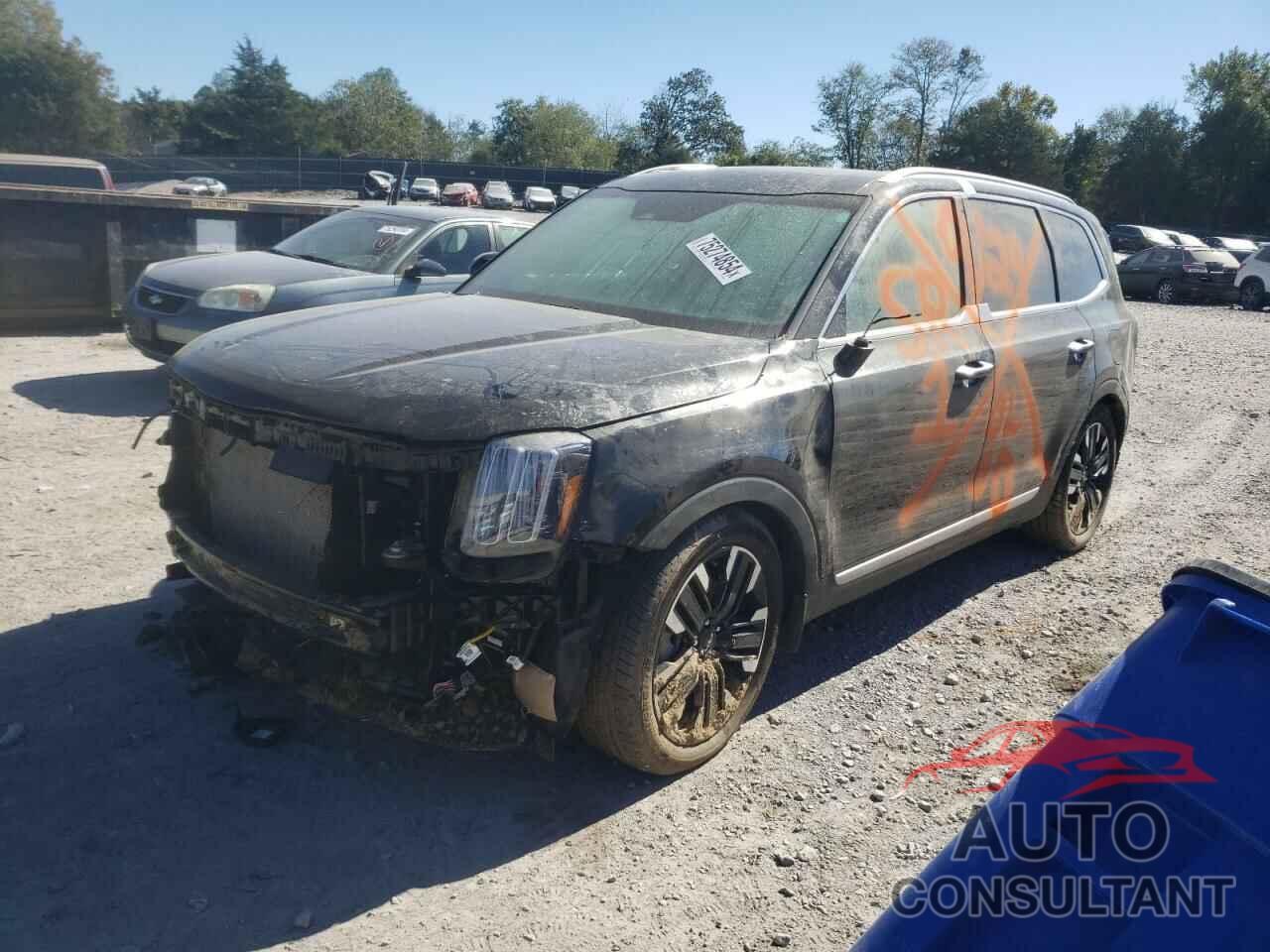 KIA TELLURIDE 2023 - 5XYP5DGC0PG381182