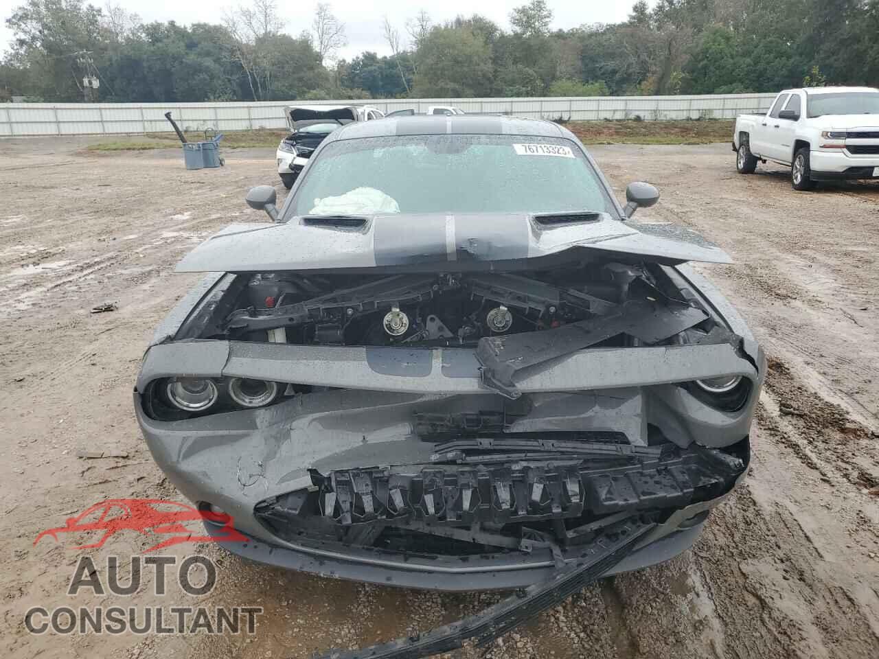 DODGE CHALLENGER 2019 - 2C3CDZAG4KH621388