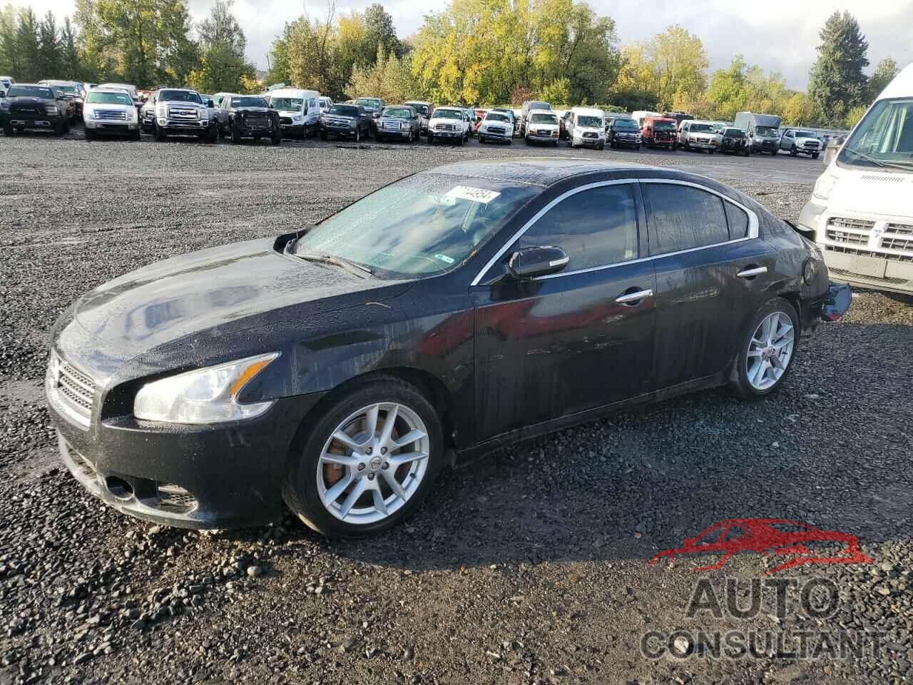 NISSAN MAXIMA 2011 - 1N4AA5AP8BC800711