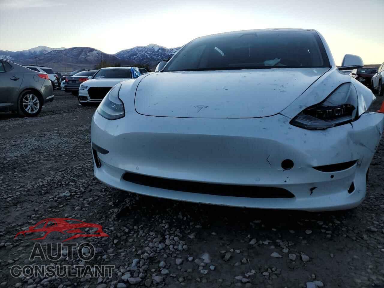 TESLA MODEL 3 2020 - 5YJ3E1EA3LF625486