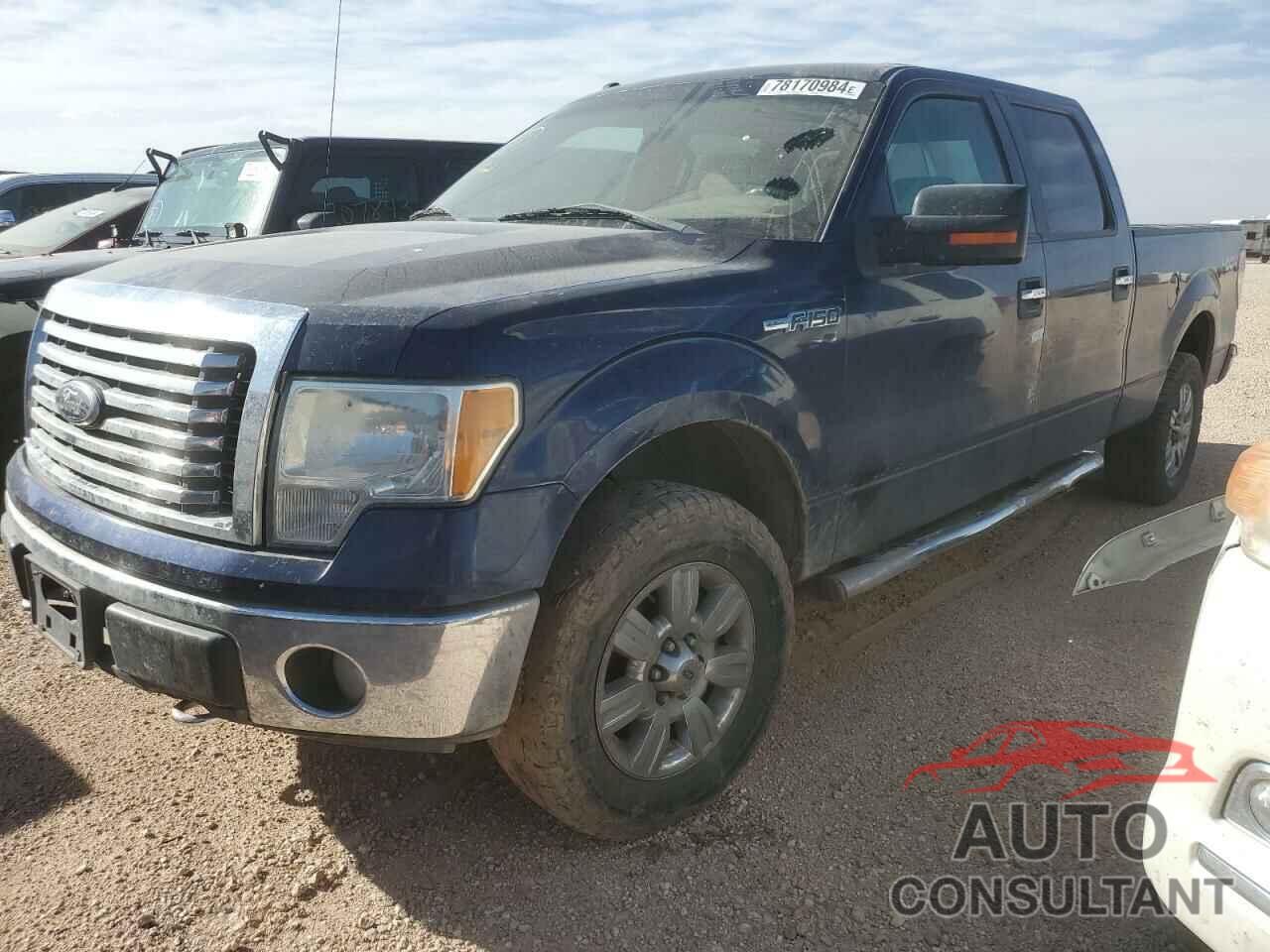 FORD F-150 2010 - 1FTFW1EVXAFD79624