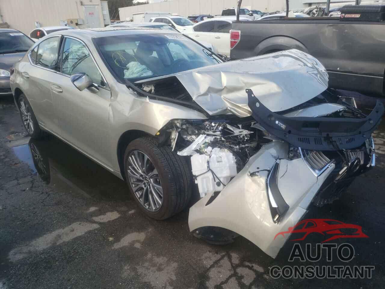 LEXUS ES300 2020 - 58AD21B1XLU012102