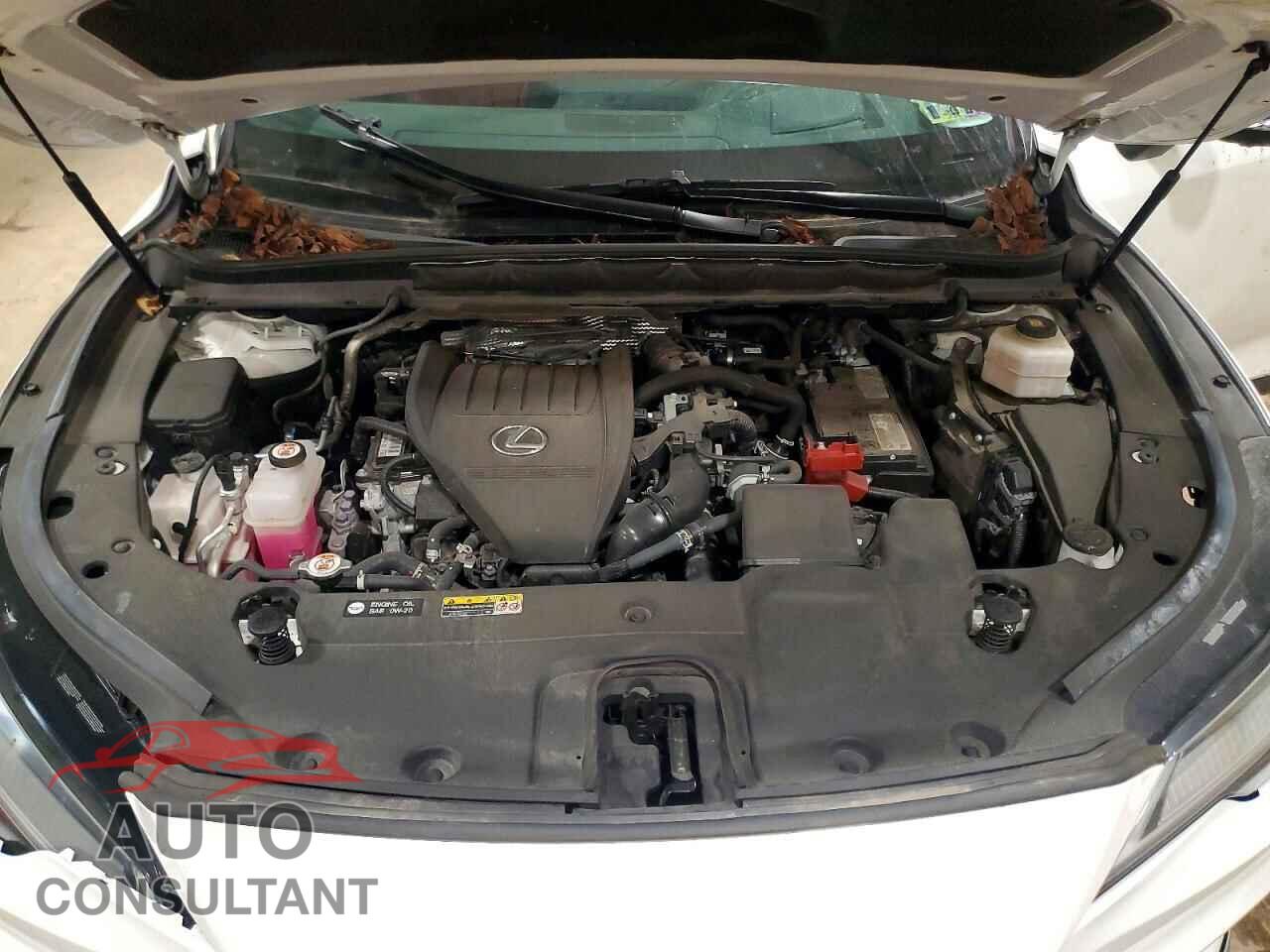 LEXUS RX350 2023 - 2T2BAMCA2PC020702
