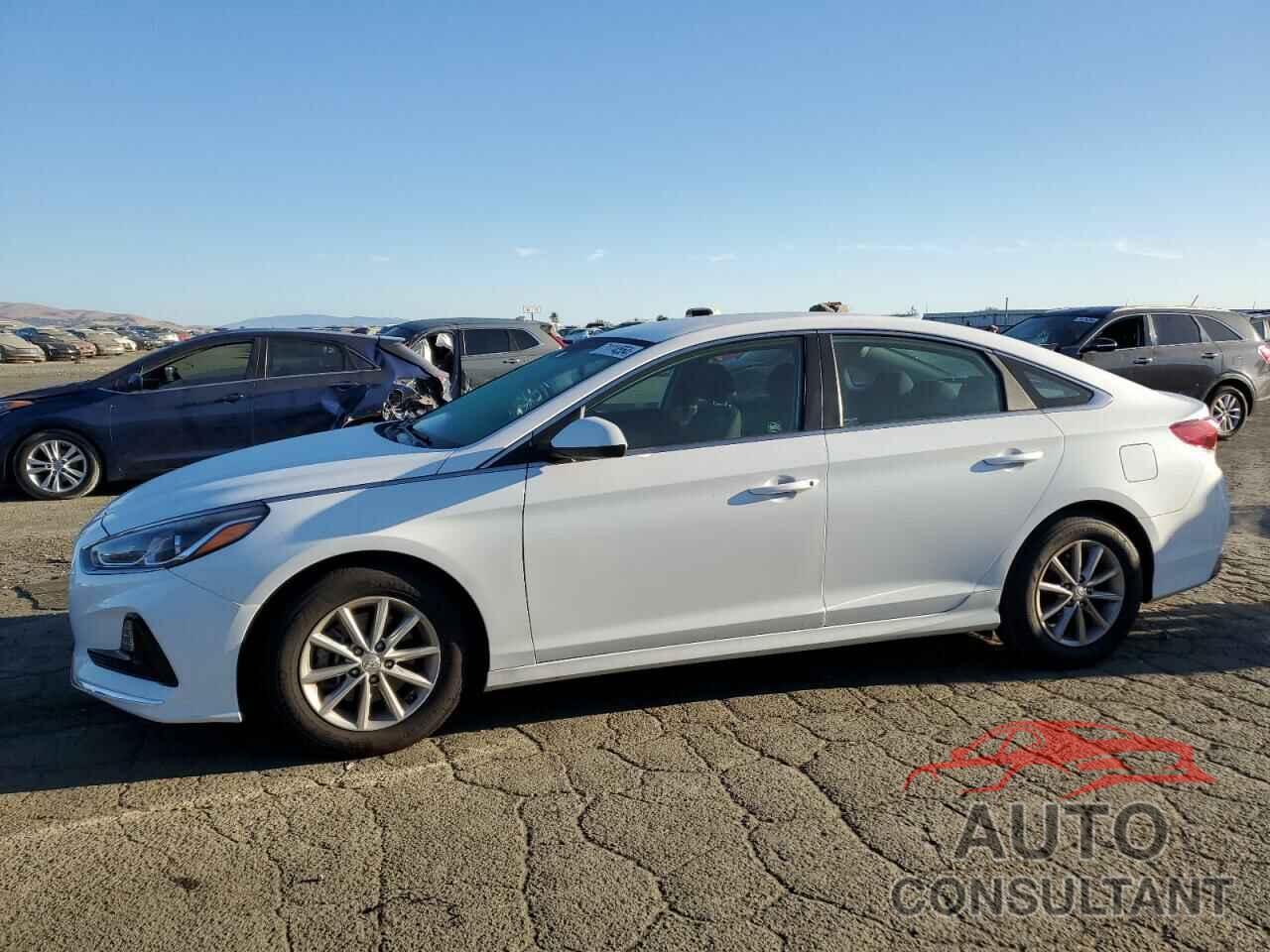 HYUNDAI SONATA 2019 - 5NPE24AF3KH756955