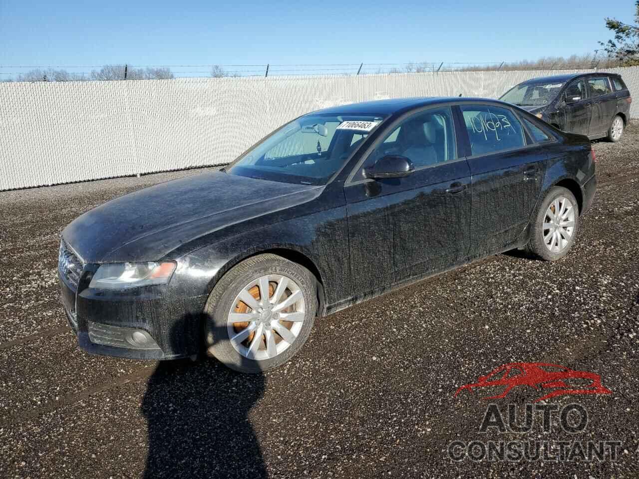 AUDI A4 2010 - WAUBFCFL3AN009187