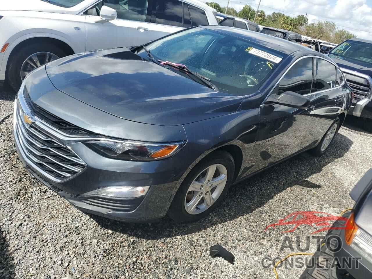 CHEVROLET MALIBU 2019 - 1G1ZB5ST0KF224884