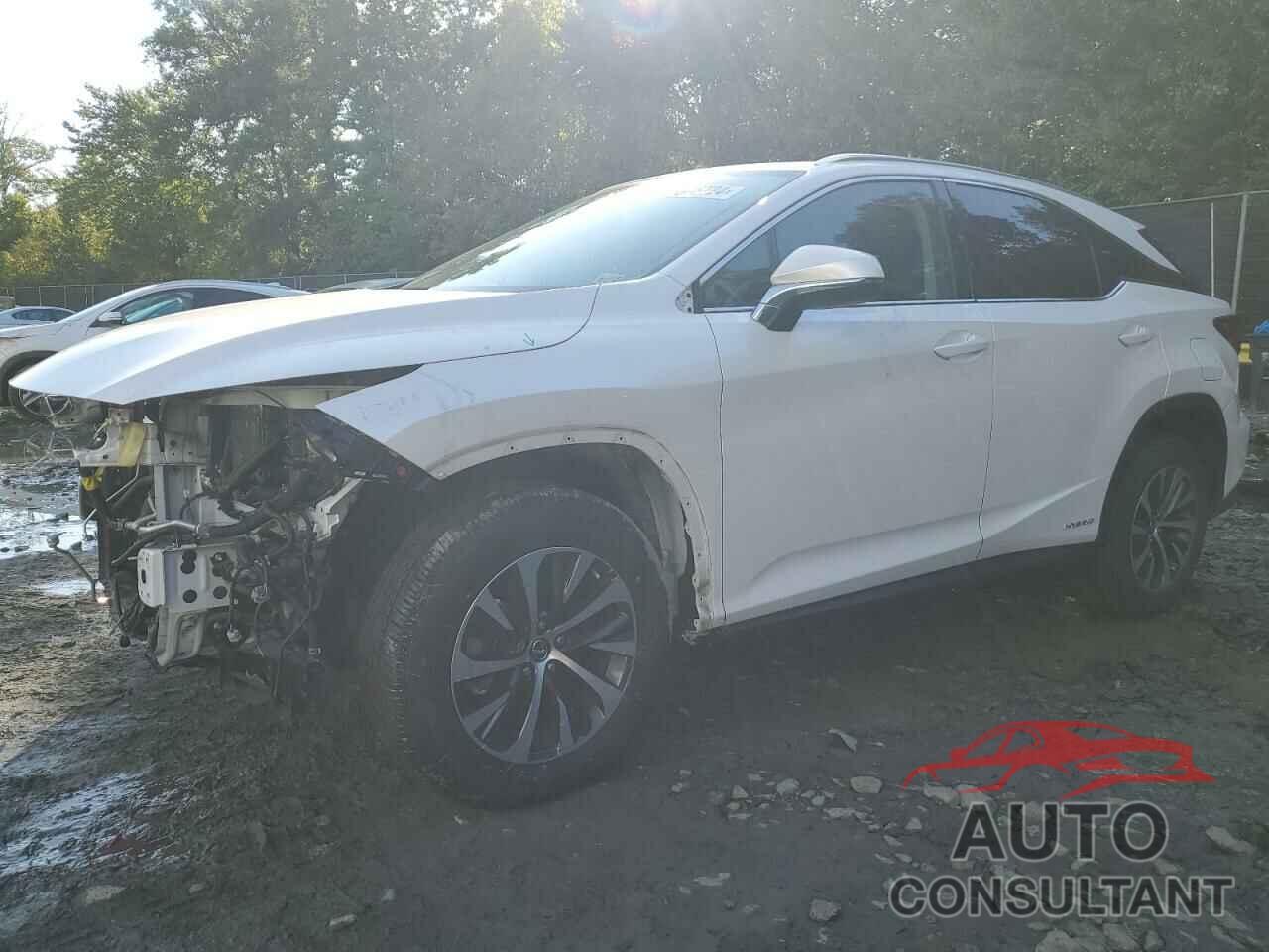 LEXUS RX450 2021 - 2T2HGMDA9MC064697