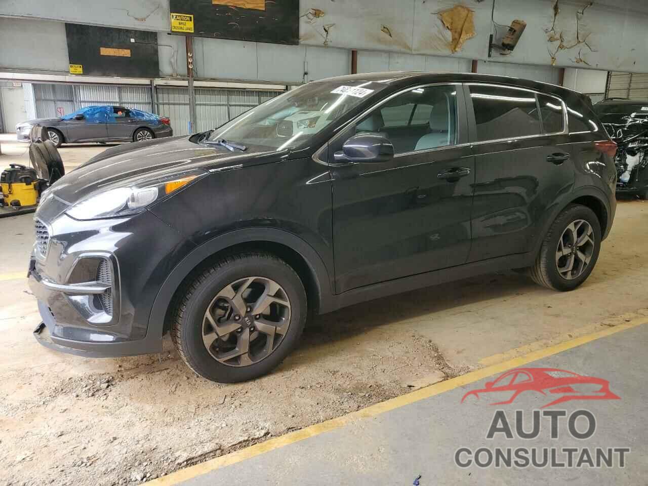 KIA SPORTAGE 2022 - KNDPM3AC3N7969965