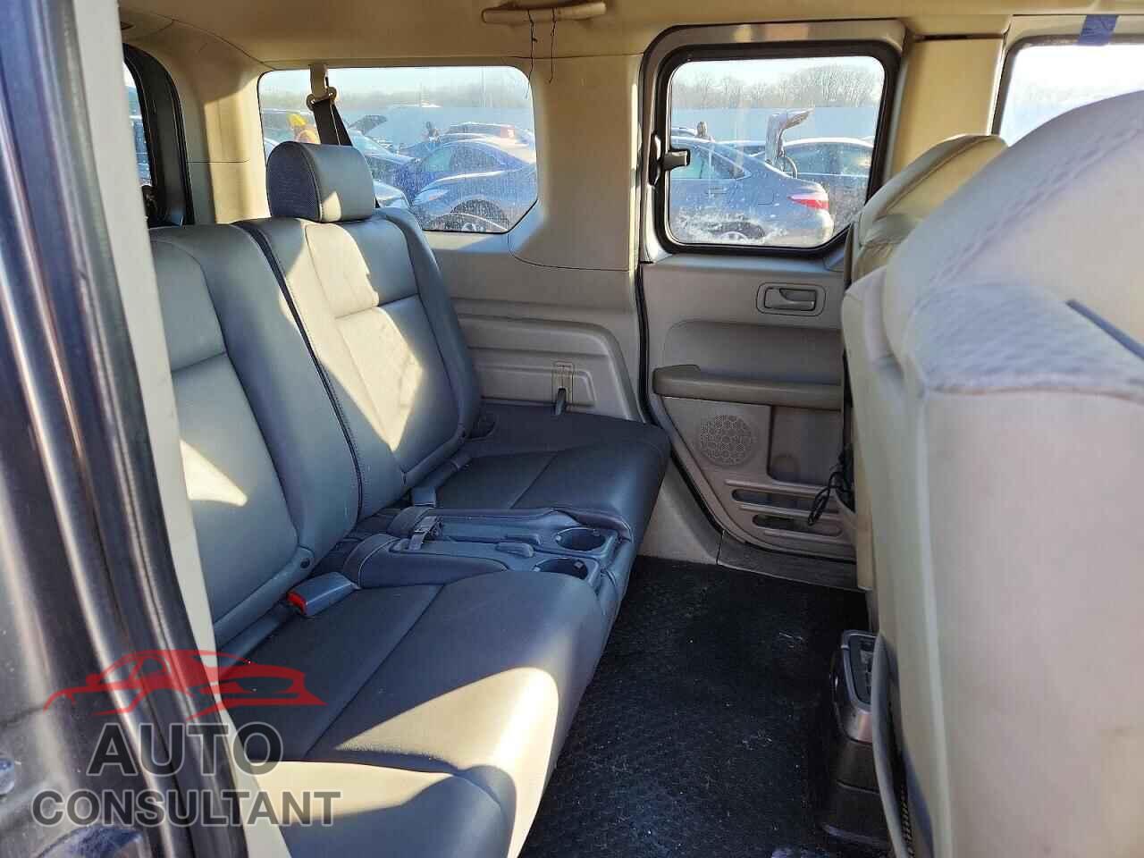 HONDA ELEMENT 2010 - 5J6YH2H72AL004411