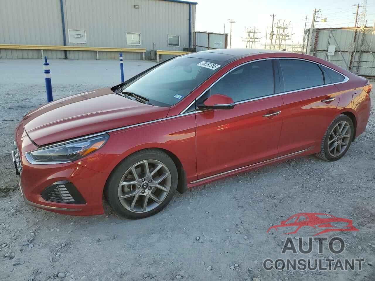 HYUNDAI SONATA 2019 - 5NPE34AB3KH770557