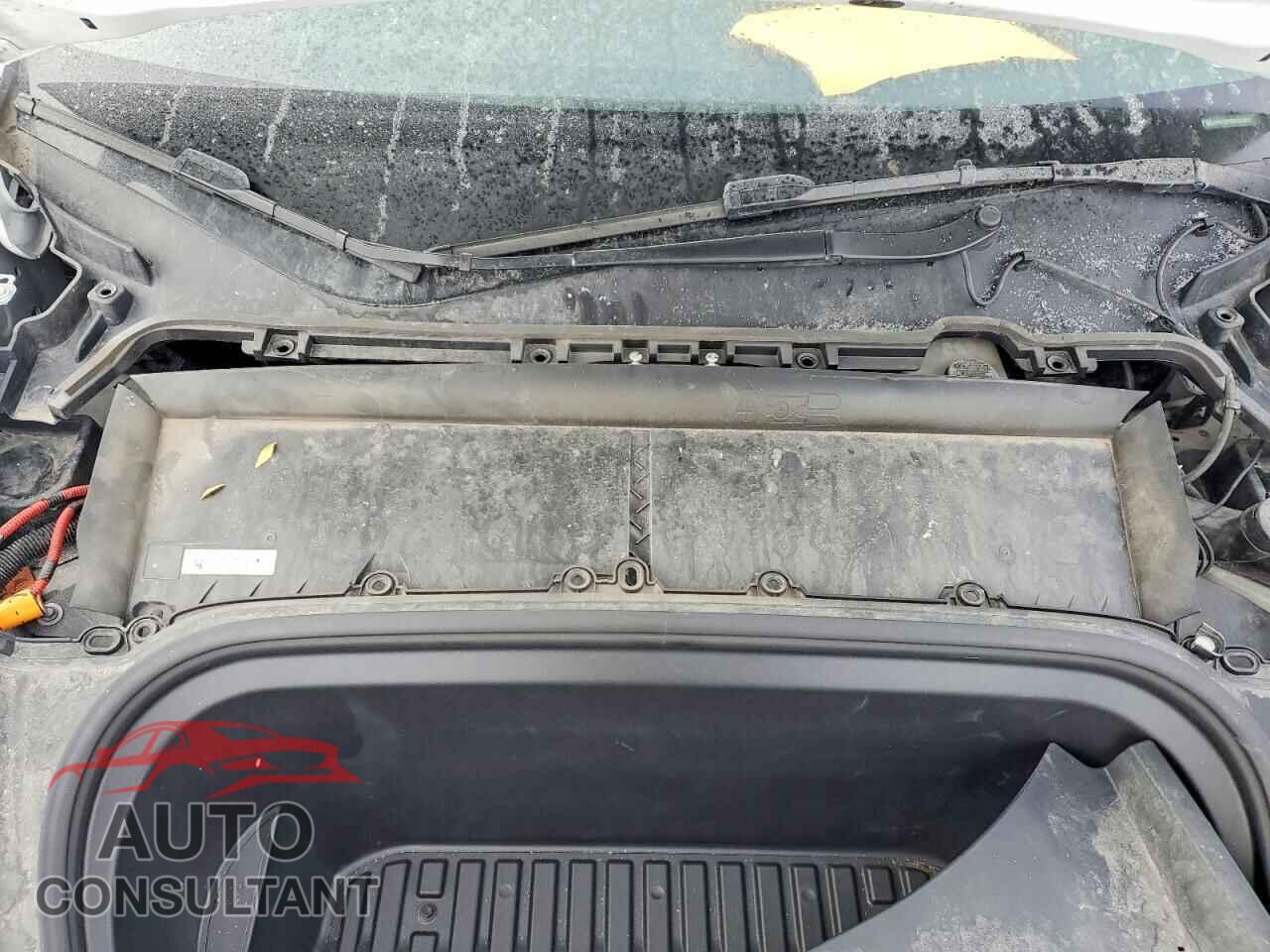 TESLA MODEL Y 2023 - LRWYGDFD5PC904870