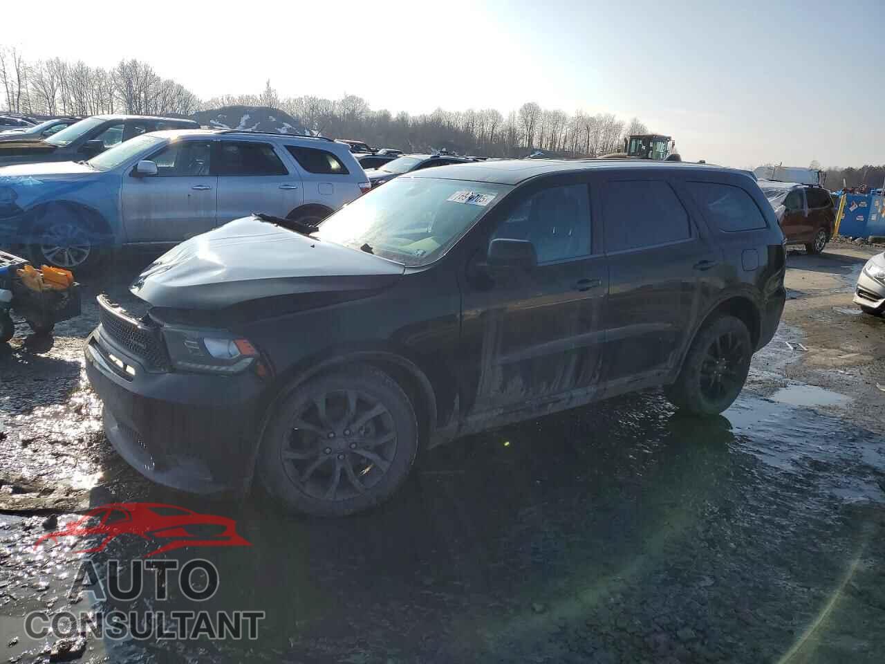 DODGE DURANGO 2019 - 1C4RDJDG6KC745491