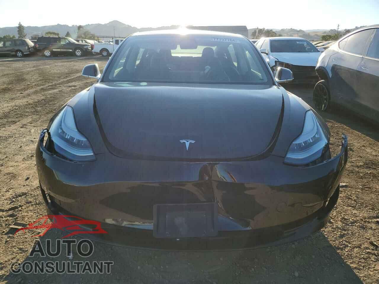 TESLA MODEL 3 2019 - 5YJ3E1EA9KF305555