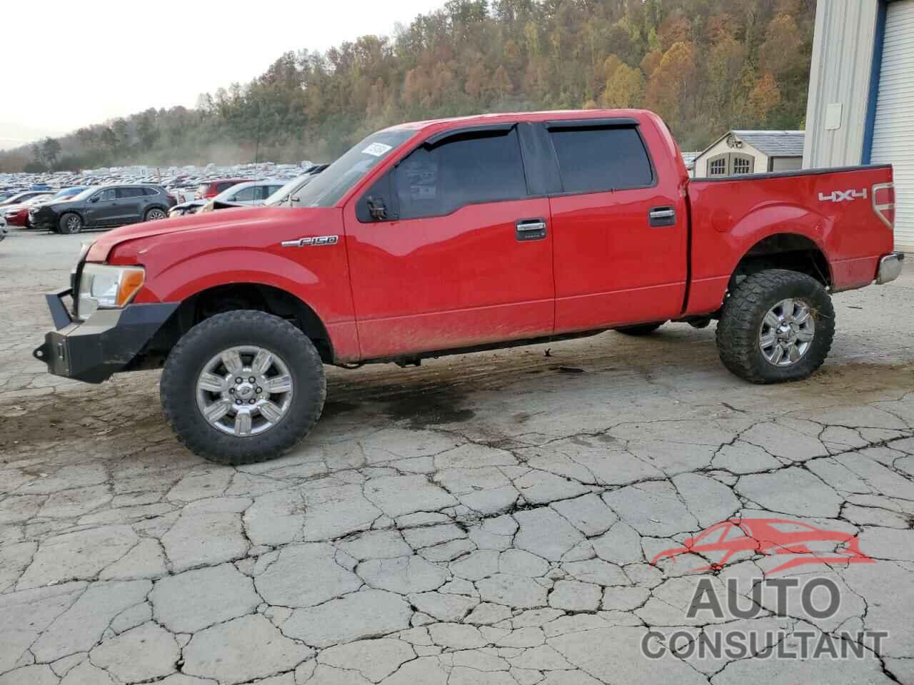 FORD F-150 2010 - 1FTEW1E81AFA07725