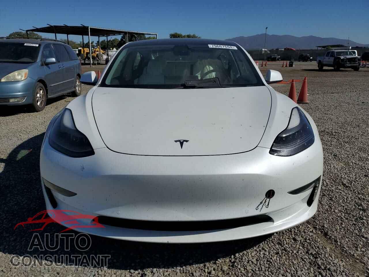 TESLA MODEL 3 2021 - 5YJ3E1EA8MF938843