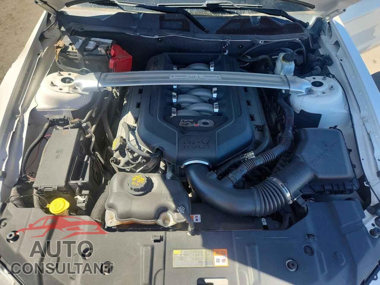FORD MUSTANG 2013 - 1ZVBP8CF8D5263572