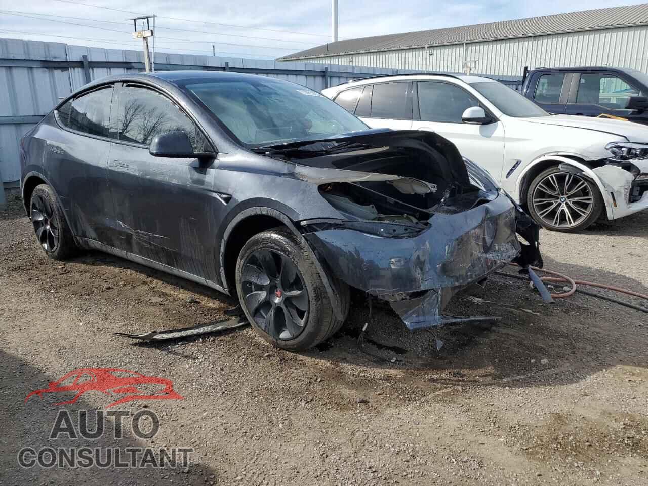TESLA MODEL Y 2024 - 7SAYGDEE3RF991576