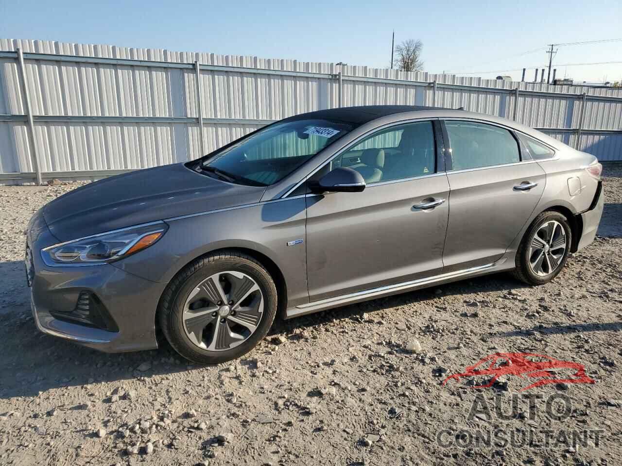 HYUNDAI SONATA 2019 - KMHE34L33KA084978