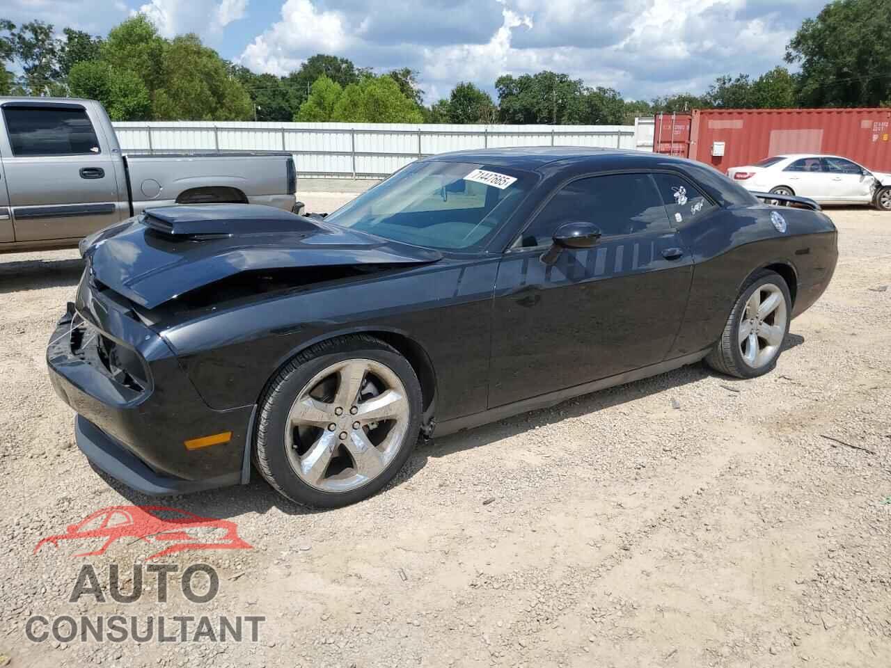DODGE CHALLENGER 2013 - 2C3CDYBT3DH615946