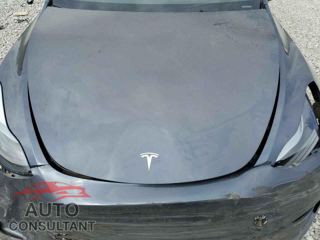 TESLA MODEL Y 2023 - 7SAYGDEF4PF829543