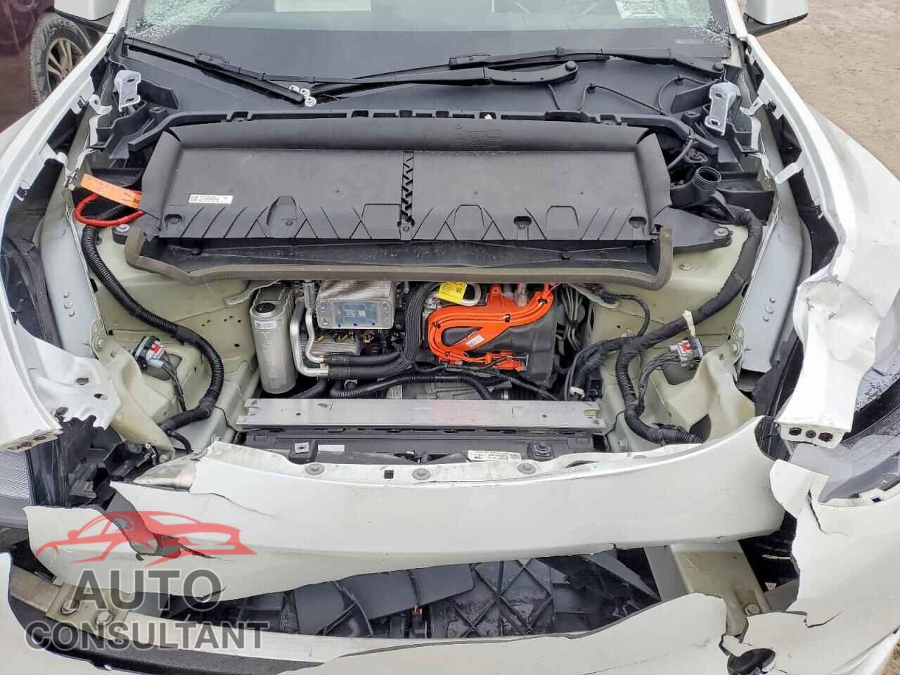 TESLA MODEL Y 2024 - 7SAYGAEE4RF166130