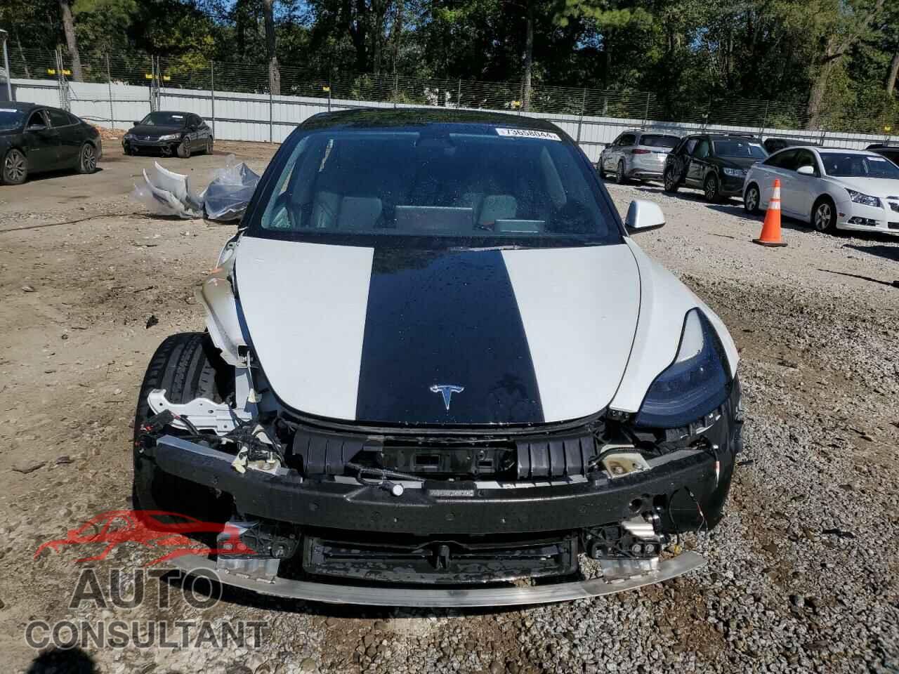 TESLA MODEL 3 2021 - 5YJ3E1EA2MF098140