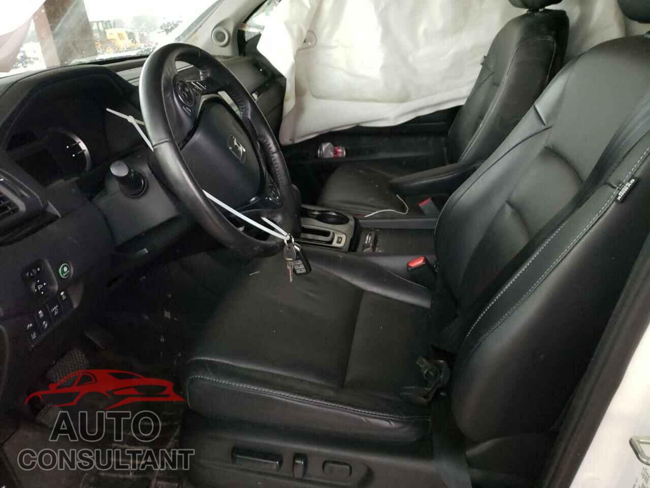 HONDA RIDGELINE 2019 - 5FPYK3F77KB019272